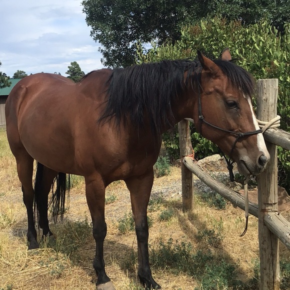 Meet your Posher, Eva - Picture 7 of 13